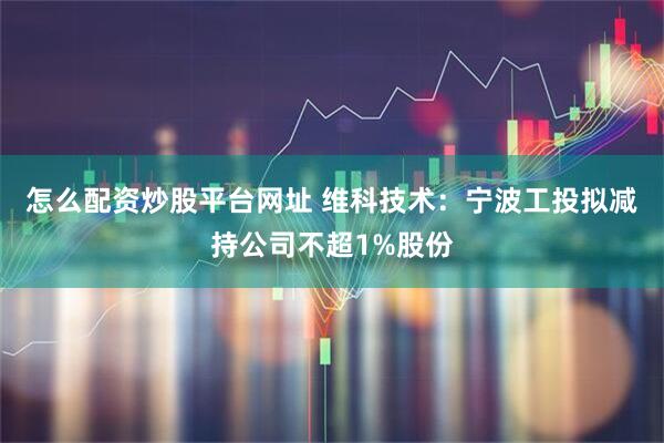 怎么配资炒股平台网址 维科技术：宁波工投拟减持公司不超1%股份